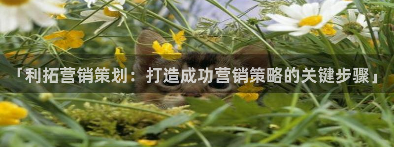 必赢官网下载安装手机版