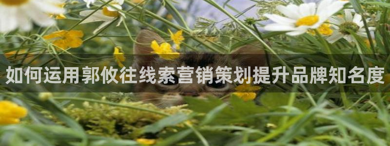必赢官网网站首页入口