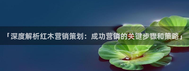 必赢国际app下链接