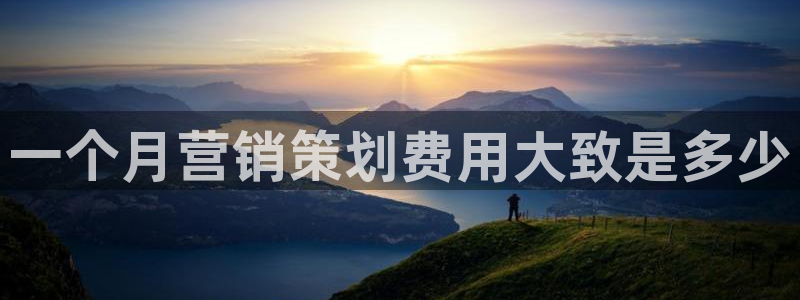 必赢app是干什么的