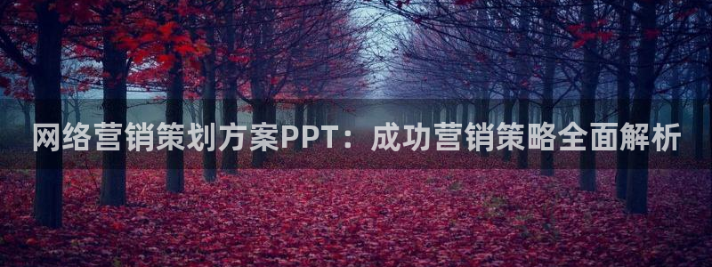 必赢集团网站是什么