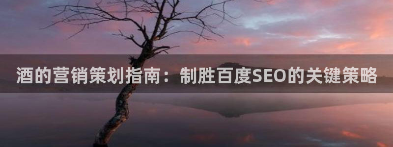 必赢这个平台怎么样