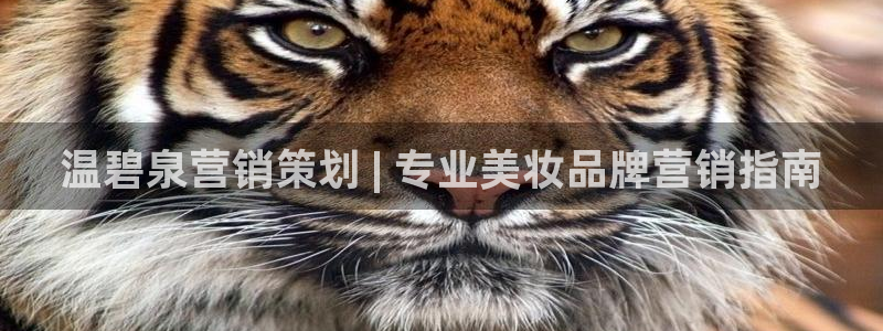 必赢网址谁知道