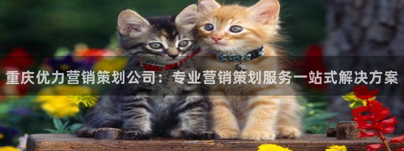 必赢官网网址多少号