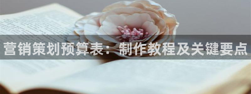 必赢手机app下载官网