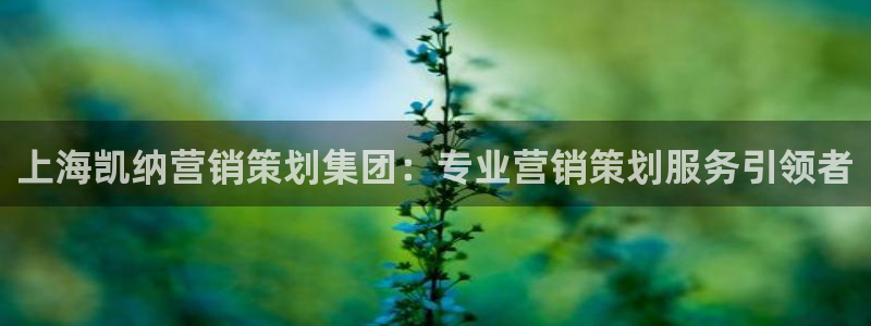 必赢官网下载安装app