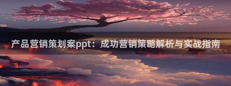 必赢平台怎么样