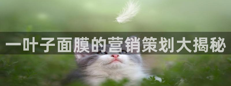 必赢下载地址