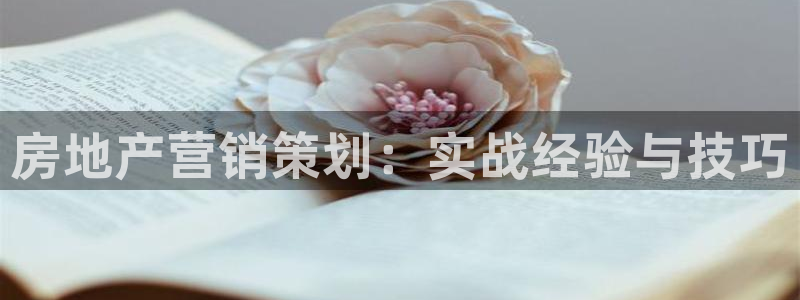 必赢的意思是什么