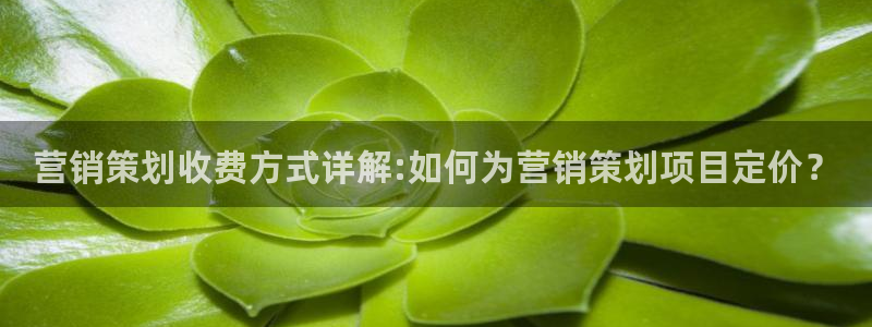 必赢科技中国有限公司