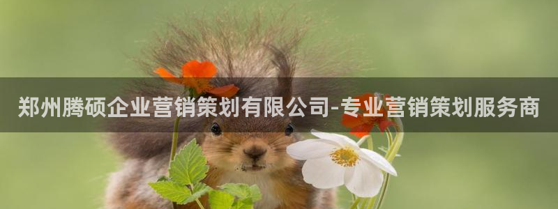 必赢官网app下载安装