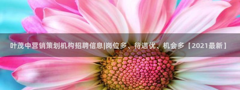 必赢官网网址多少号