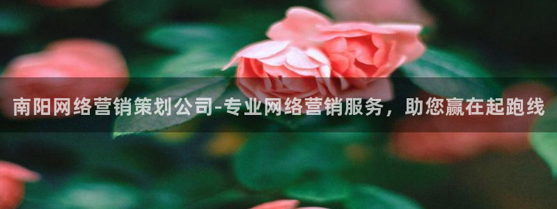 必赢网站mg冰球突破豪华版