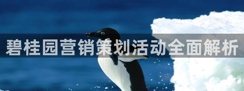 必赢7231