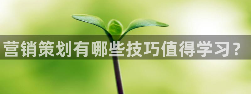 必赢72882网址