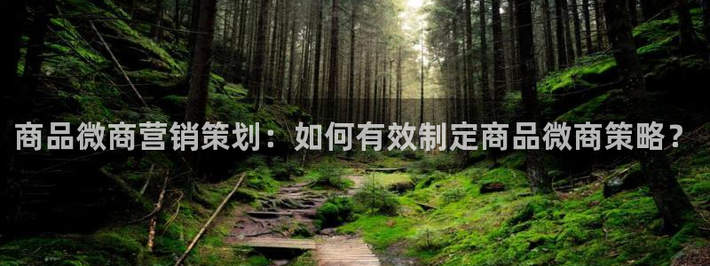 必赢手机app下载最新版本安卓苹果