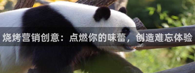 必赢8888