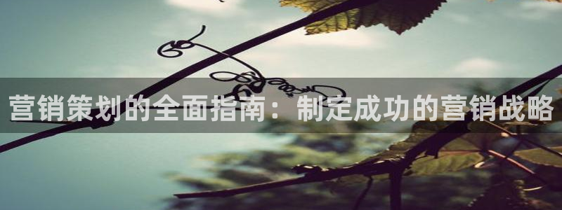 必赢3003网官