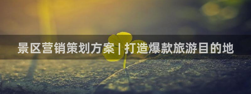 必赢网怎么打不开了呀