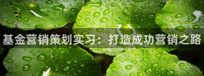 必赢下载安卓版最新版