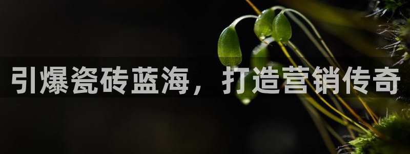 必赢国际网站合法吗