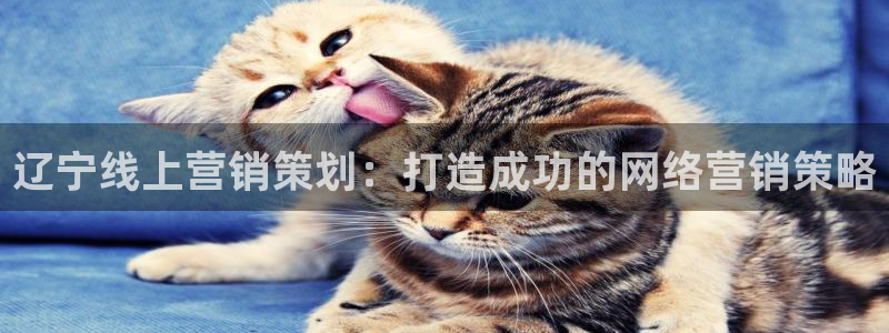 56.nt必赢官网
