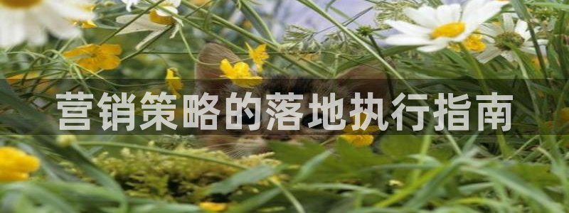 亚洲必赢官网