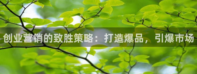 必赢网站