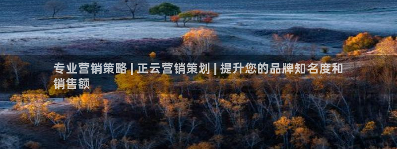 必赢国际网站合法吗