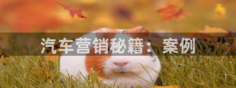 必赢棋盘官网版