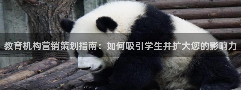 必赢565net官网