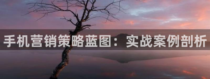 必赢官网下载安装