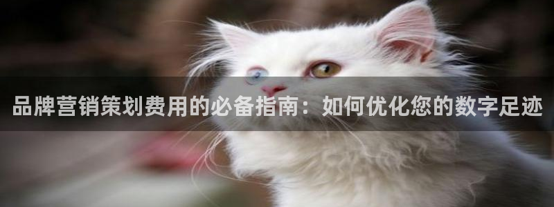必赢必赢