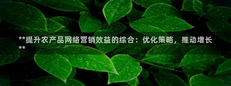 必赢国际软件下载