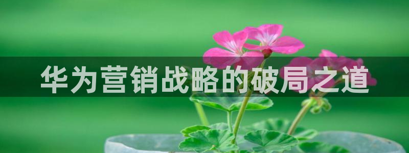 95必赢网址多少