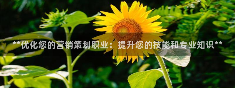 必赢官网网址多少号