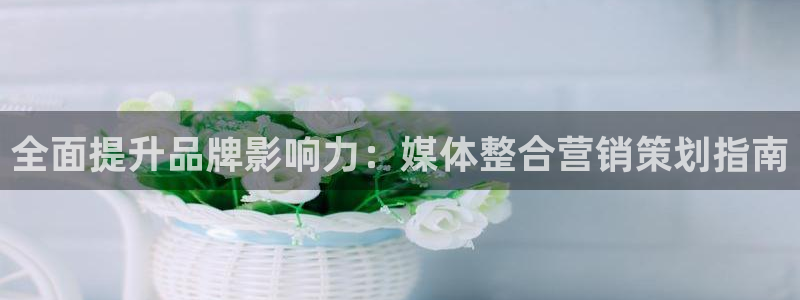 必赢官网app下载苹果手机