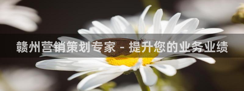 必赢手机app下载官网