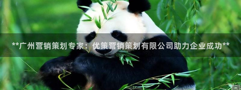 必赢手机app下载最新版安卓苹果