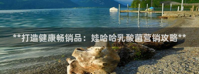 必赢集团怎么样