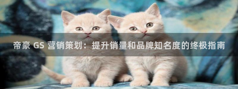 必赢集团winex