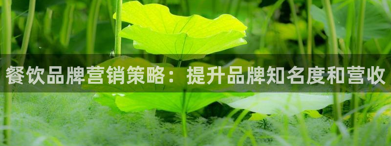 必赢官网网站入口网址