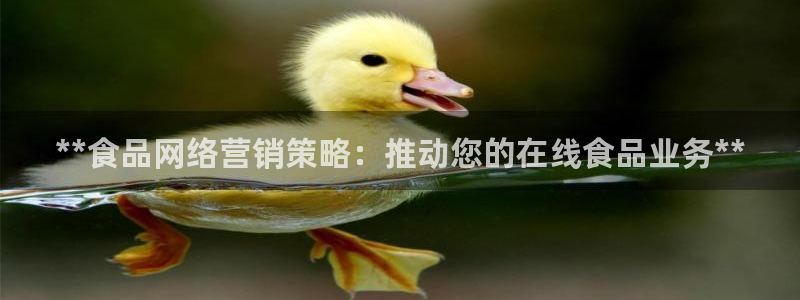 必赢科技中国有限公司