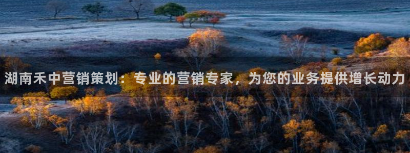 必赢宝是不是合法平台