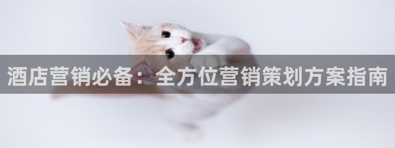 必赢手机版网站多少