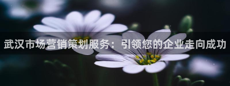 必赢平台官方客服电话