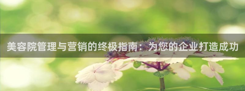 必赢网站是哪一个公司的