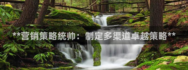 必赢官网网站入口