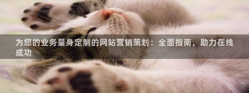 必赢国际437网页版