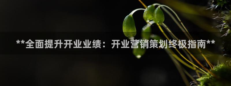必赢这个平台怎么样知乎